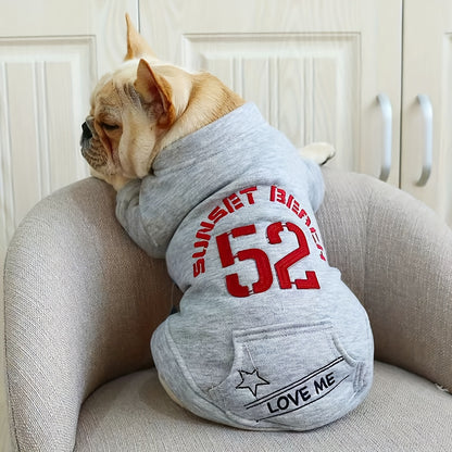 Stay Warm and Stylish: Gray Dog Sweatshirt with Pocket