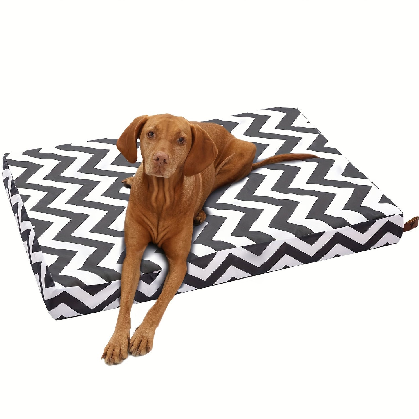 Large Waterproof Dog Bed with Orthopedic Support – Comfort for Every Size