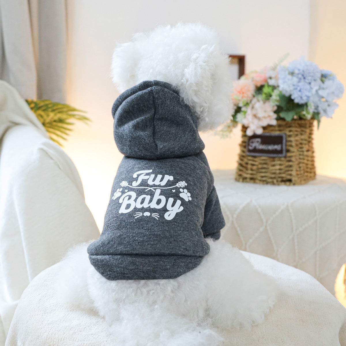 Pet Hoodie – Comfortable Dog Sweatshirt for Spring and Autumn