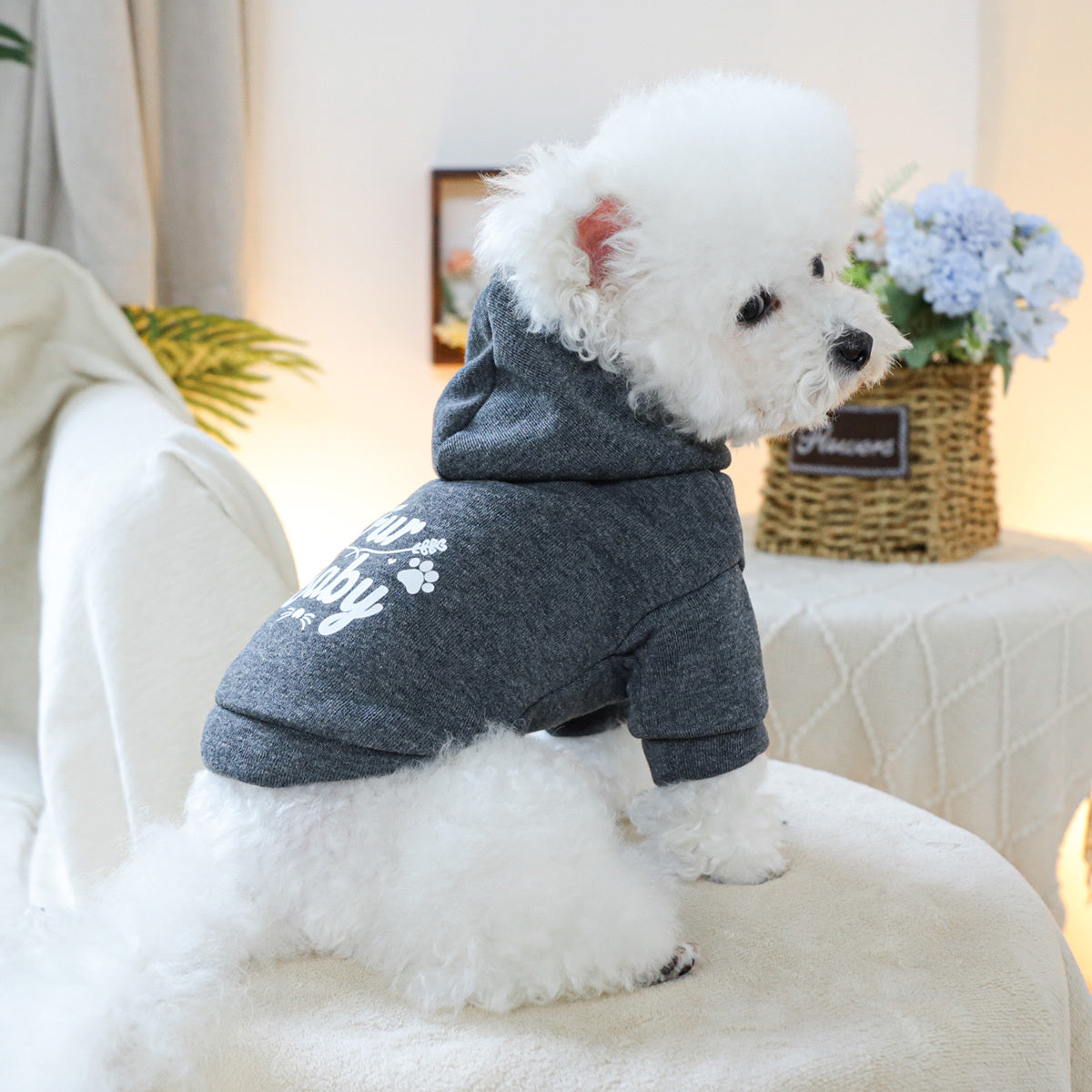 Pet Hoodie – Comfortable Dog Sweatshirt for Spring and Autumn