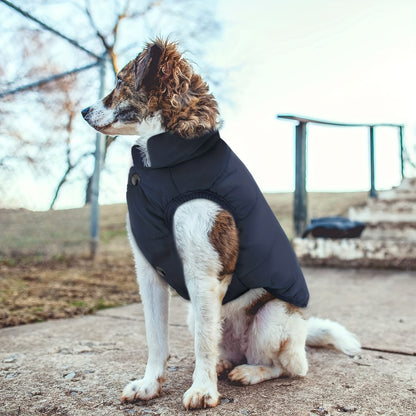 Fleece-Lined Extra Warm Dog Hoodie – Pink Plush Winter Jacket for Small Dogs