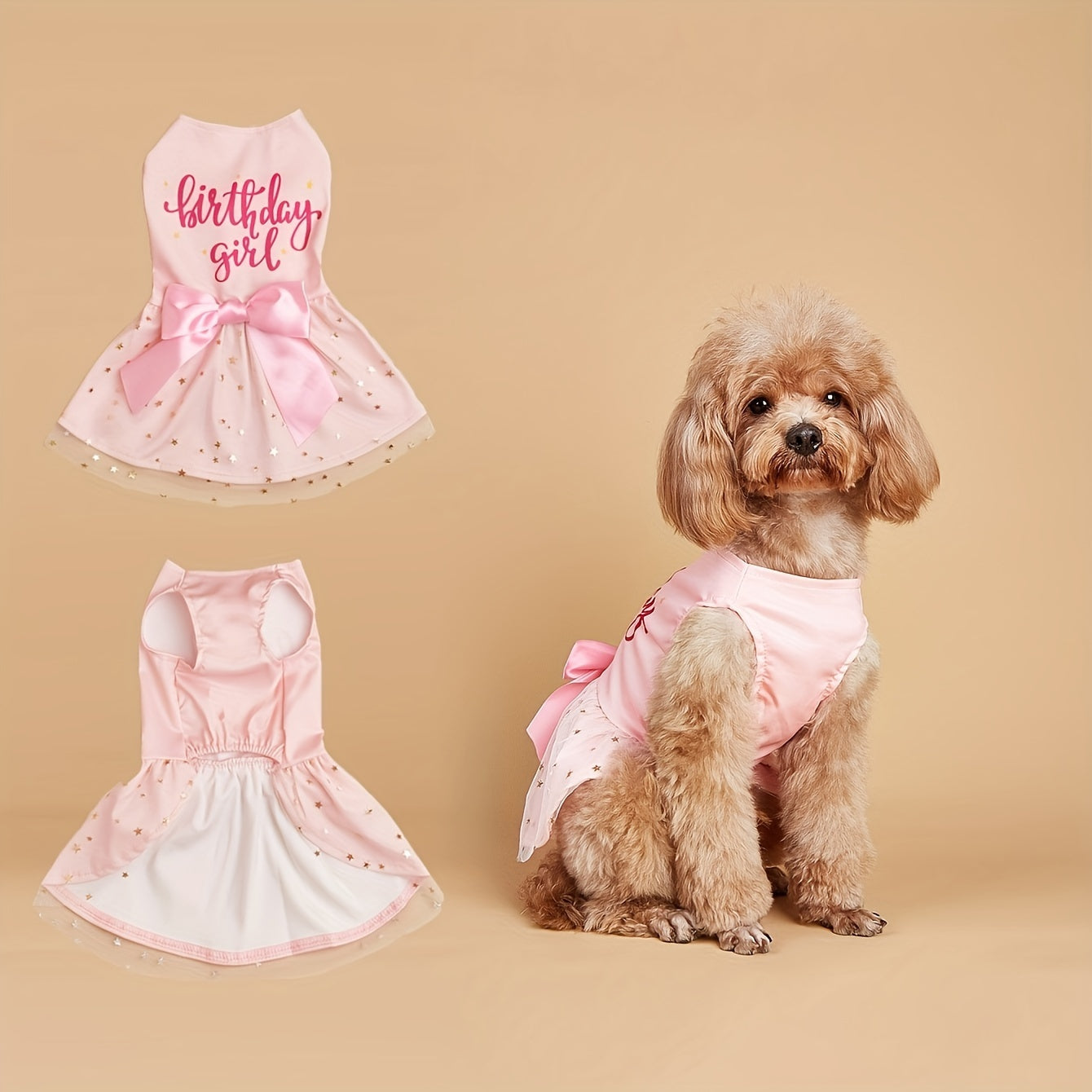 Birthday Girl Dog Dress