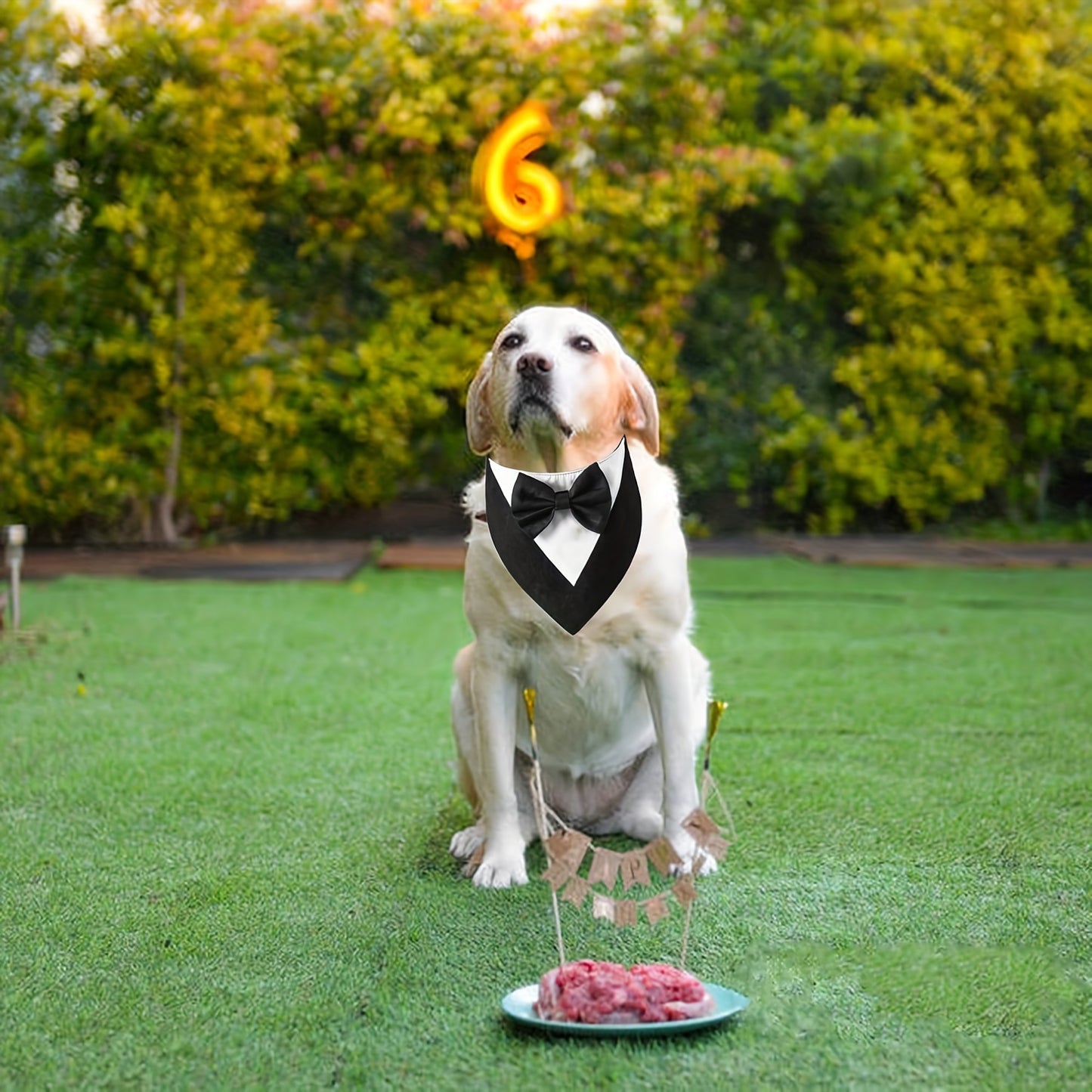 Elegant Dog Tuxedo Bandana with Bowtie Collar