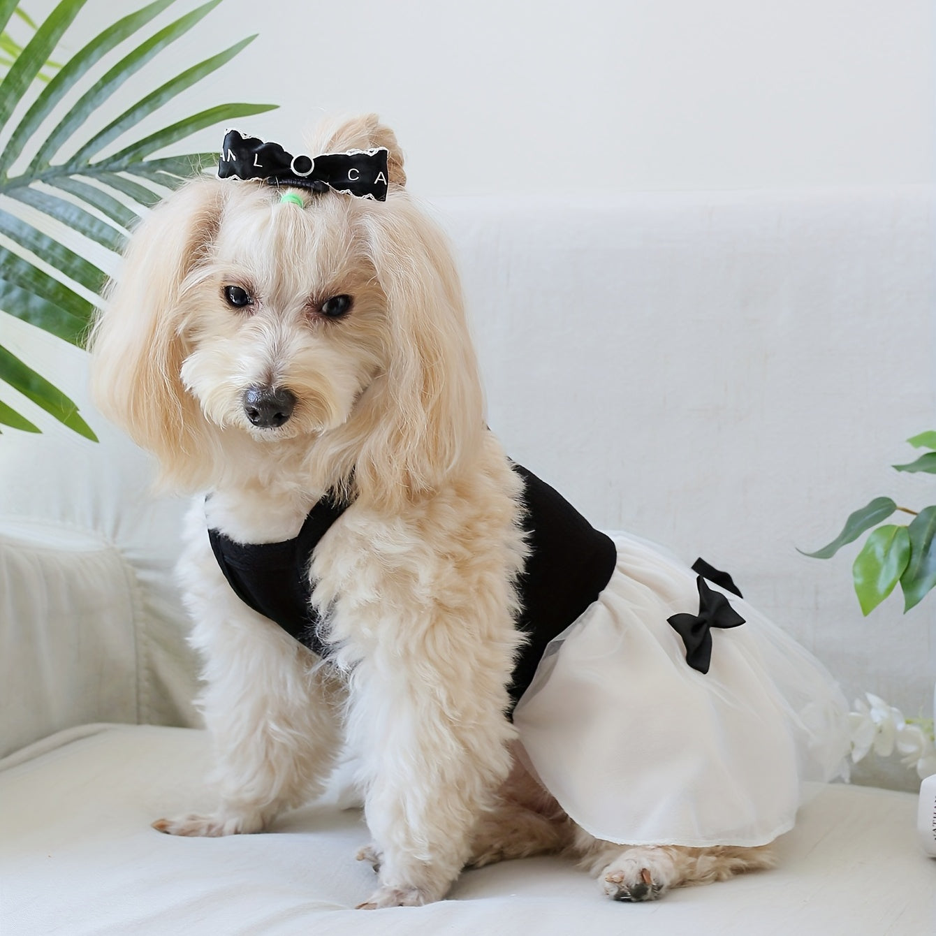 Chic Hepburn-Inspired Pet Dress with Bowknot - Breathable Mesh Tutu Skirt for Small to Medium Dogs and Cats