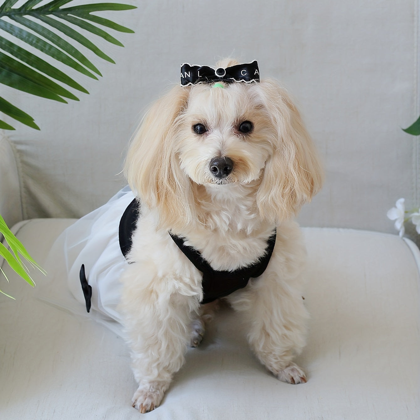 Chic Hepburn-Inspired Pet Dress with Bowknot - Breathable Mesh Tutu Skirt for Small to Medium Dogs and Cats