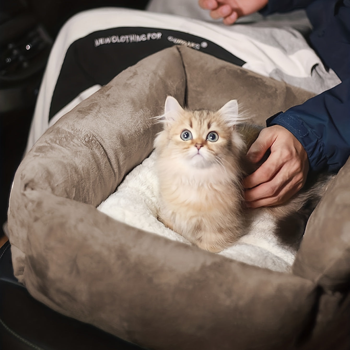 Pet Car Kennel - Dog Cage Travel Car Seat with Straps