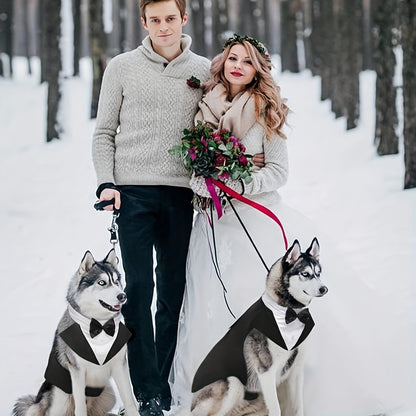 Elegant Dog Tuxedo & Bandana Set