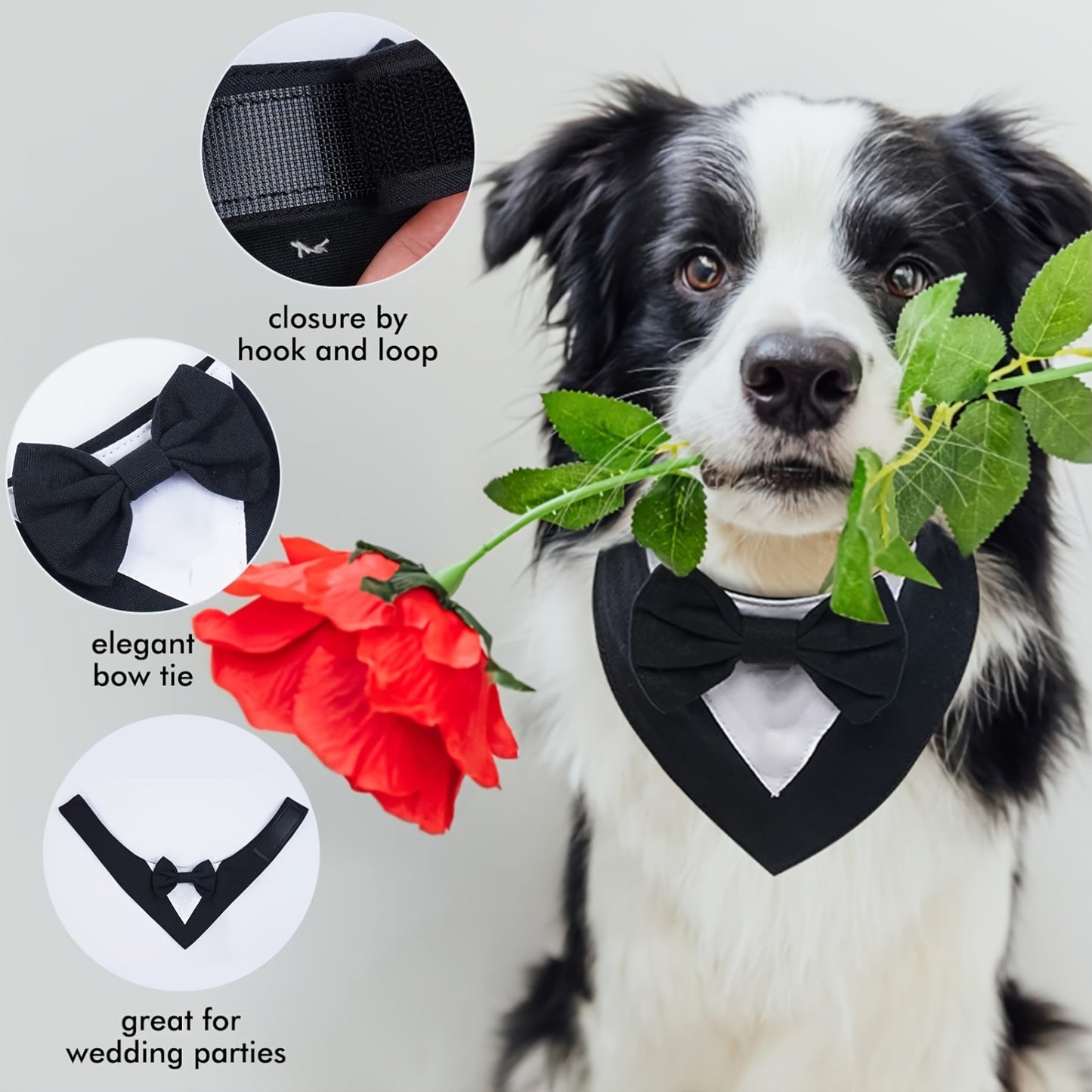 Elegant Dog Tuxedo Bandana with Bowtie Collar