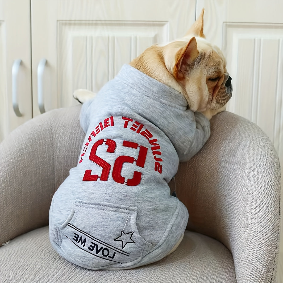 Stay Warm and Stylish: Gray Dog Sweatshirt with Pocket