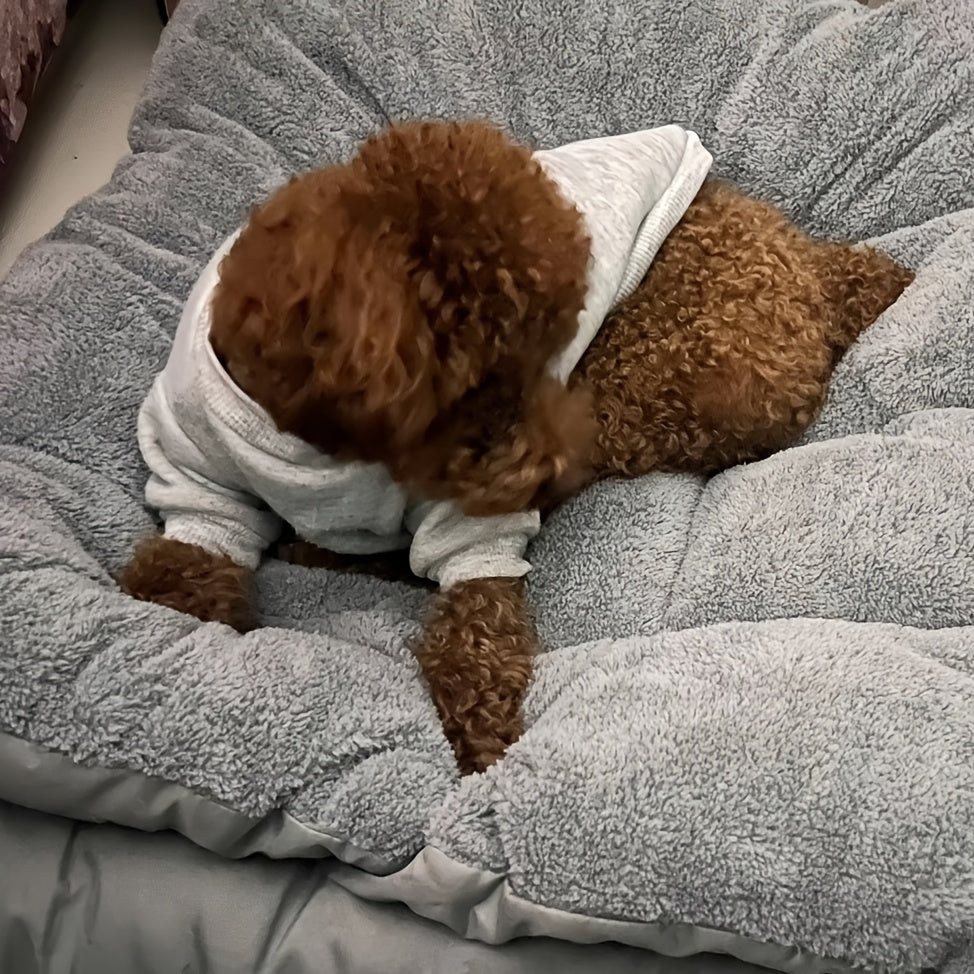 Extra-Thick Plush Dog Bed Mat – Cozy Comfort for Your Furry Friend