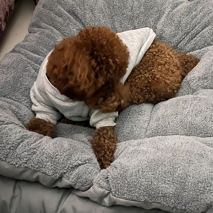 Extra-Thick Plush Dog Bed Mat – Cozy Comfort for Your Furry Friend