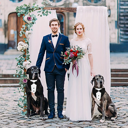 Dog Tuxedo Suit with Wedding Bandana Collar & Bow Tie