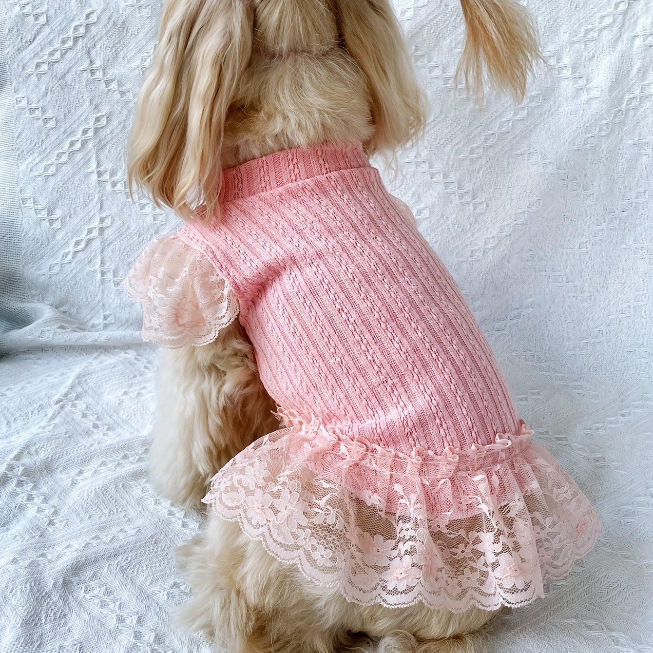 Adorable Solid-Colored Pet Flying Sleeve Dress: Breathable Loungewear for Dogs & Cats - Perfect for Summer Parties!