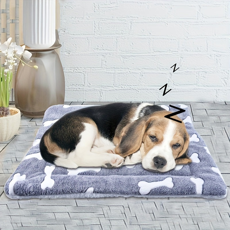 Cozy Pet Bed for Medium Dogs & Cats – Cartoon Bone Design